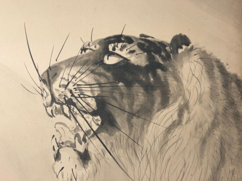 Dragon & Tiger · photograph 5