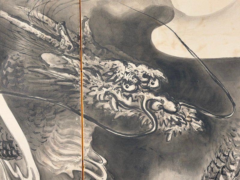Dragon & Tiger · photograph 6