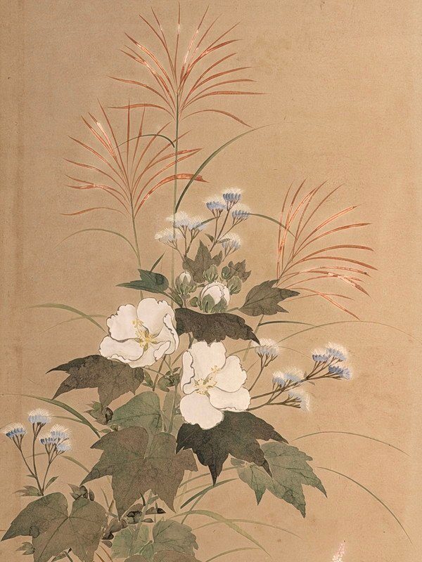 Flowering Plants · A Screen Pair · photograph 2