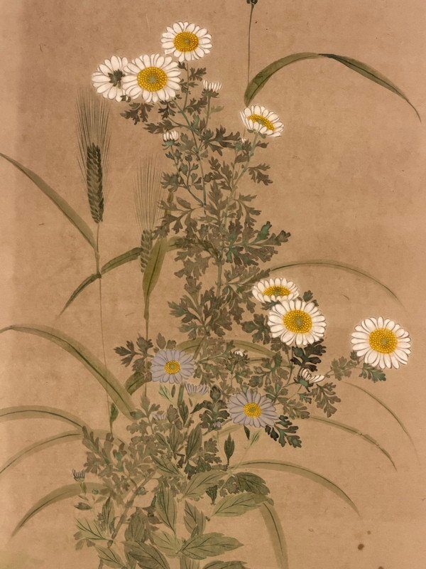 Flowering Plants · A Screen Pair · photograph 8