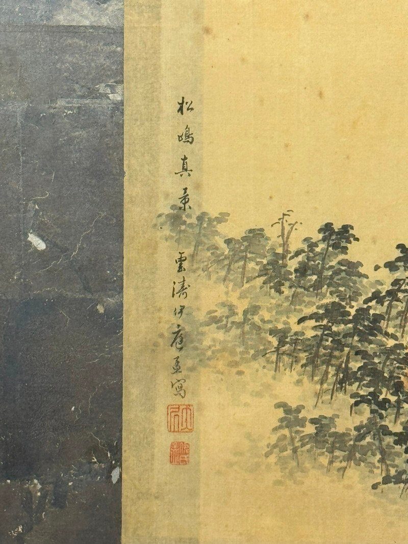 Pines · A Two-Panel View · photograph 8