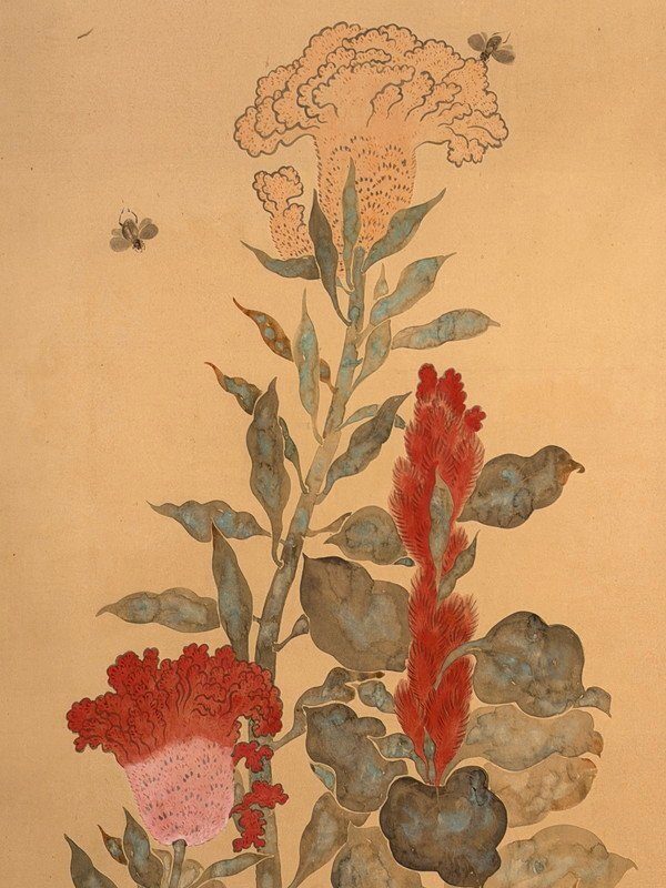 Birds & Flowers Through Four Seasons · photograph 4