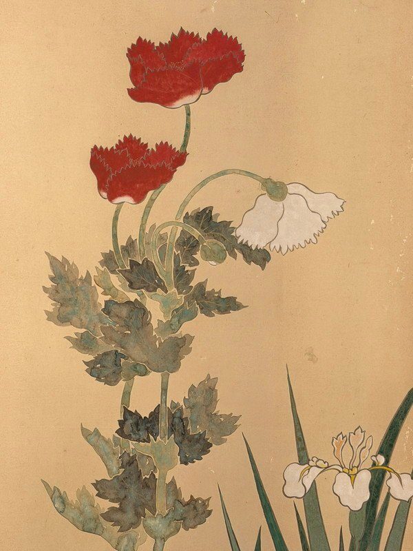 Birds & Flowers Through Four Seasons · photograph 8
