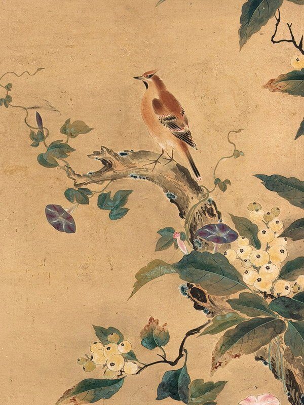 Landscape, Birds & Flowers · photograph 5