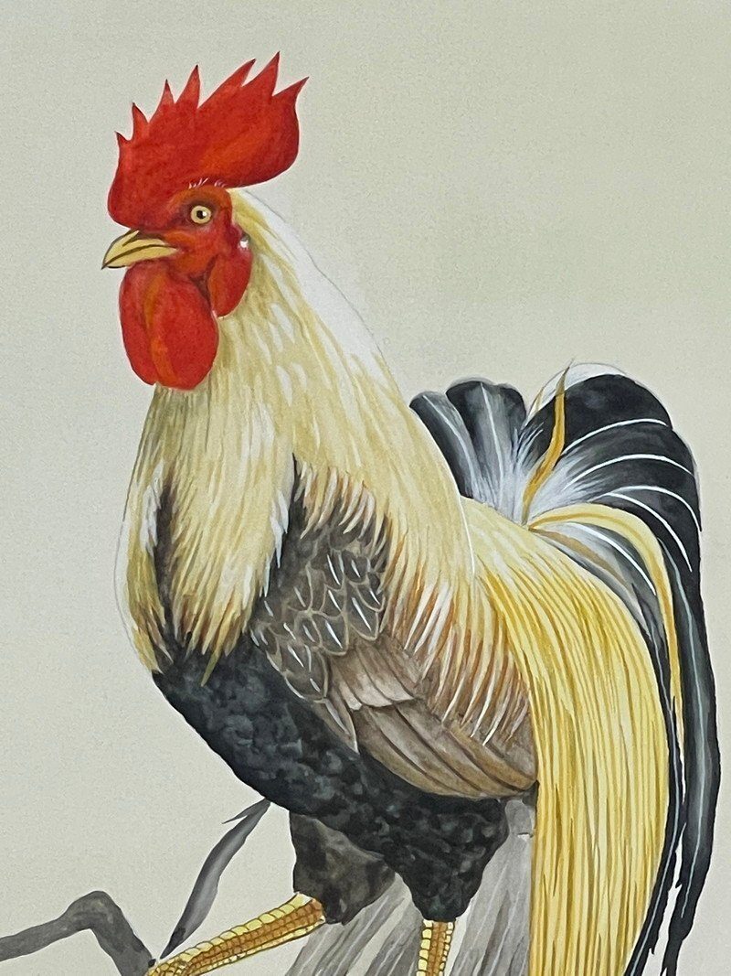 Roosters & Peonies · photograph 5