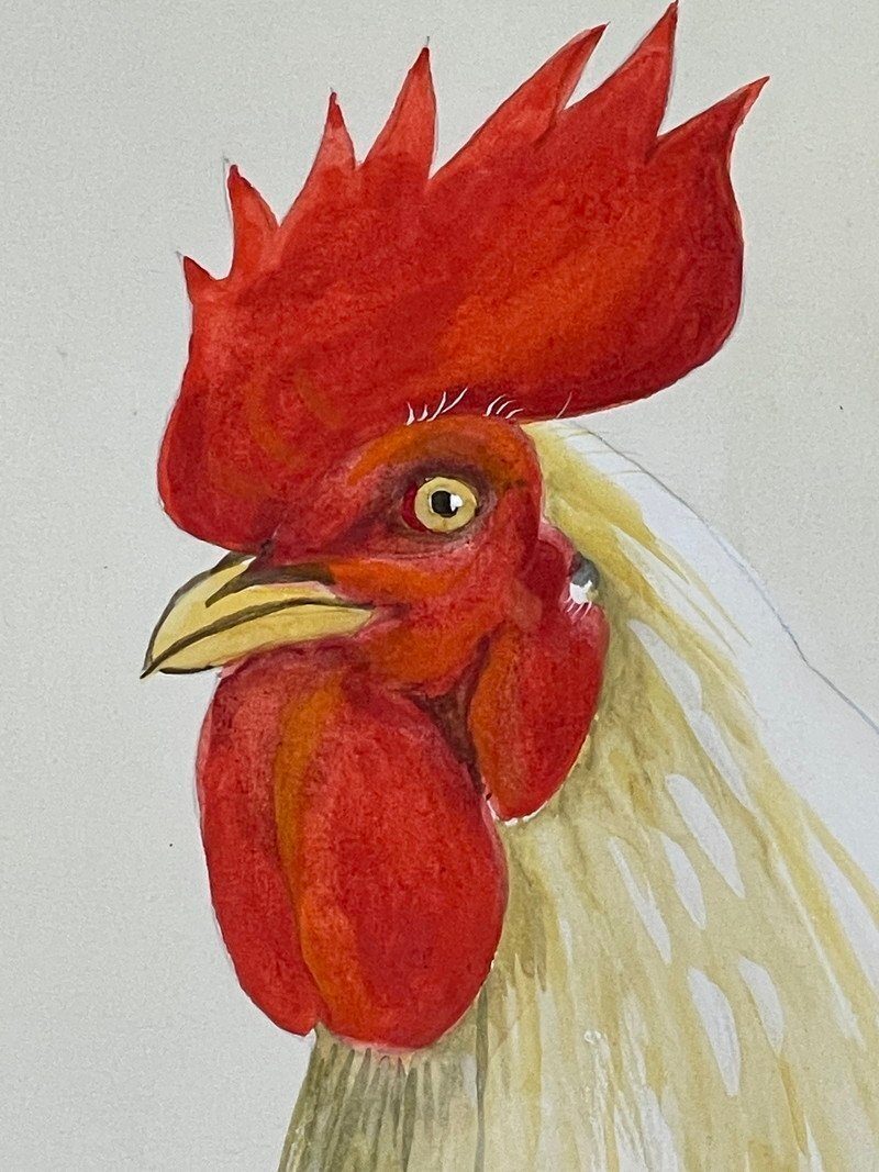 Roosters & Peonies · photograph 7