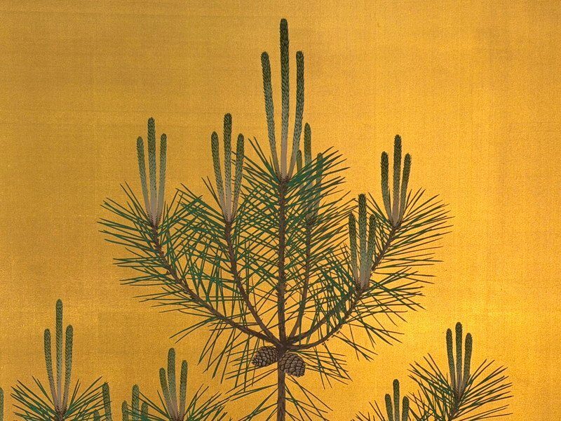 Young Pines on Gold · photograph 3