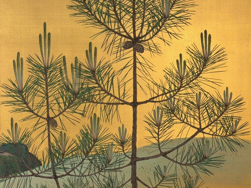 Young Pines on Gold · photograph 4