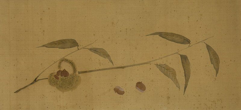 秋の果物と野菜図・写真 2