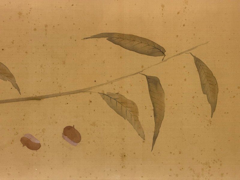 秋の果物と野菜図・写真 4