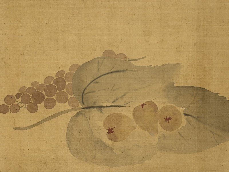 秋の果物と野菜図・写真 7