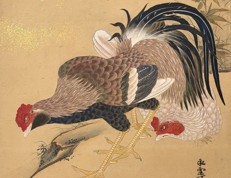 Roosters & Scattered Gold · photograph 6
