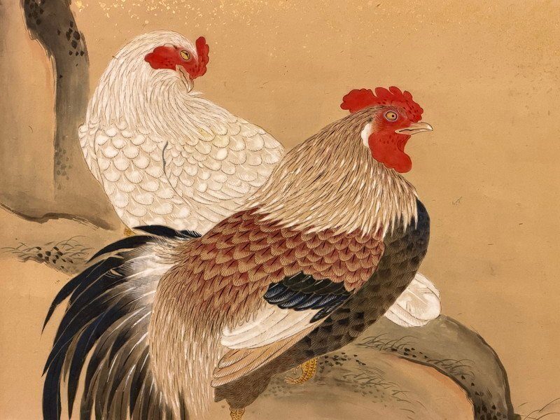 Roosters & Scattered Gold · photograph 9