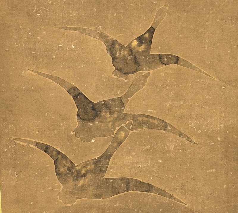 A Gathering of Ducks · photograph 9
